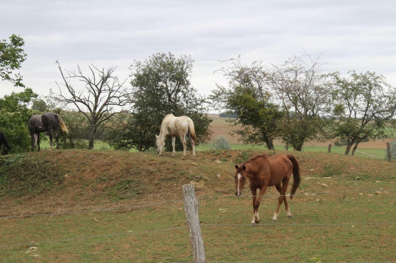 מלון Vrécourt Ferme Des Champs מראה חיצוני תמונה